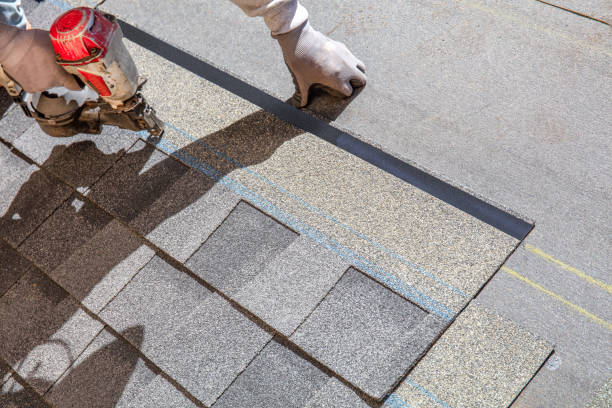 Best Roof Gutter Cleaning  in New Kingman Butler, AZ